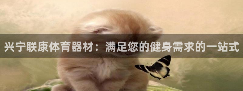 极悦娱乐挂机赚钱是真的吗吗：兴宁联康体育器材：满足您