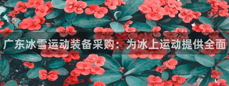 极悦娱乐的背景和历史背景：广东冰雪运动装备采购：为冰