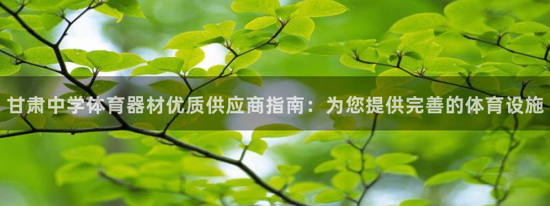 极悦平台用户评价：甘肃中学体育器材优质供应商指南：为