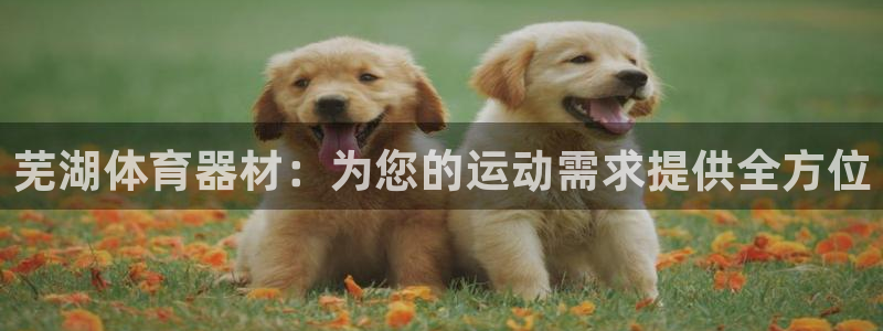 石家庄极悦空间设计有限公司：芜湖体育器材：为您的运动