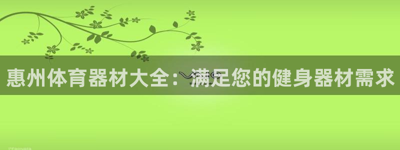 极悦生活家是什么平台的软件：惠州体育器材大全：满足您