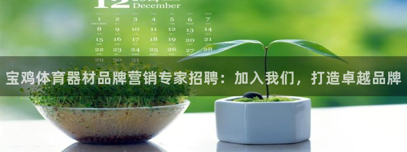 极悦官方网站入口网址：宝鸡体育器材品牌营销专家招聘：