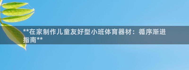 极悦官网入口登录网址：**在家制作儿童友好型小班体育