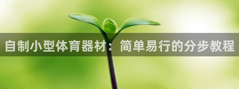 极悦平台是正规平台吗：自制小型体育器材：简单易行的分