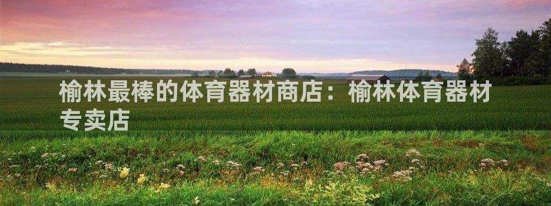 极悦娱乐现在叫什么：榆林最棒的体育器材商店：榆林体育