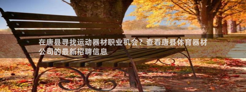 极悦平台用户反馈和反馈：在唐县寻找运动器材职业机会？