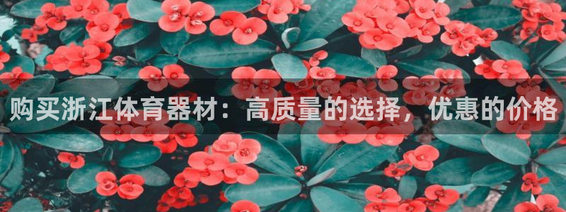极悦娱乐官网下载：购买浙江体育器材：高质量的选择，优