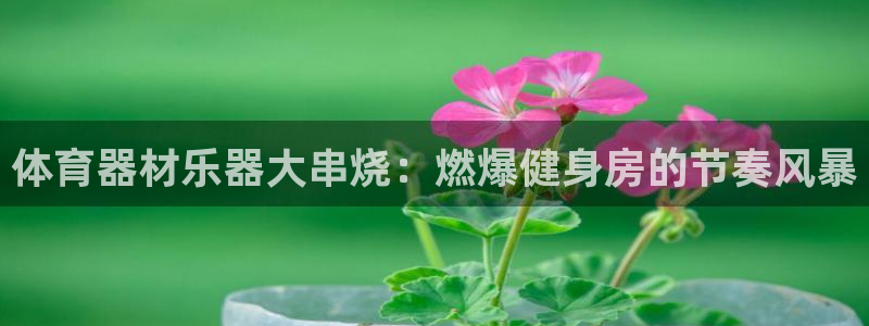 极悦平台官网登录入口：体育器材乐器大串烧：燃爆健身房