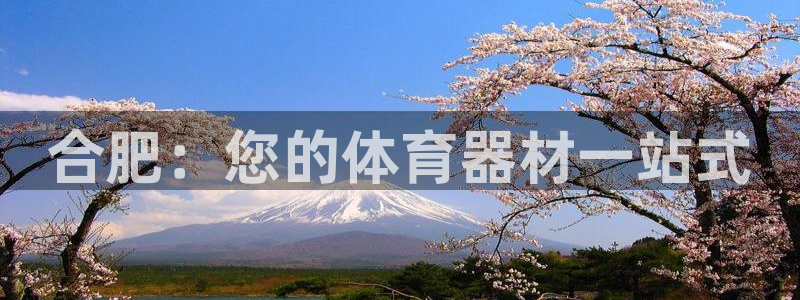 极悦娱乐贴吧：合肥：您的体育器材一站式