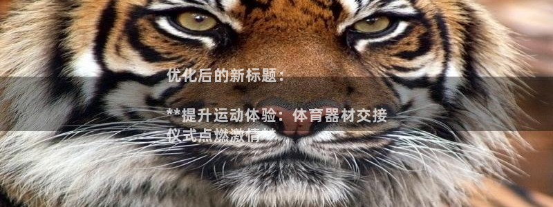 极悦娱乐下载官网安装：优化后的新标题：

**提升运