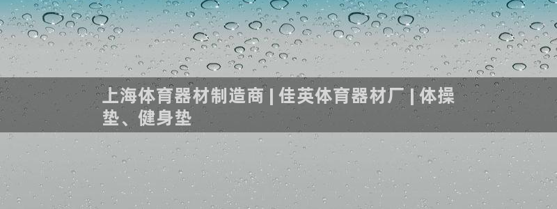 极悦平台是什么：上海体育器材制造商 | 佳英体育器材