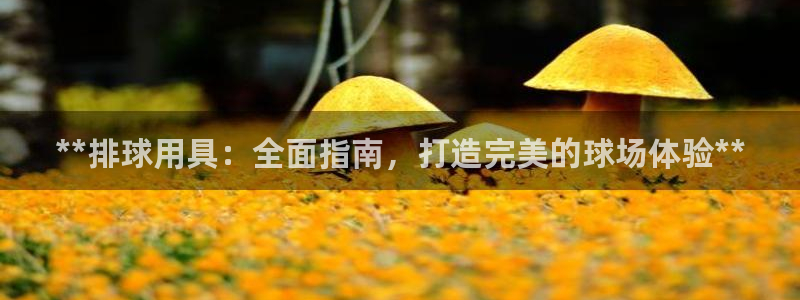 极悦生活家是什么平台：**排球用具：全面指南，打造完