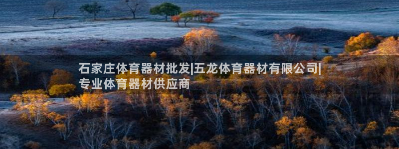 极悦平台官方网站入口链接：石家庄体育器材批发|五龙体