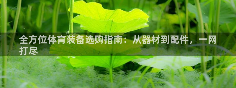 极悦平台官网登录不了了：全方位体育装备选购指南：从器