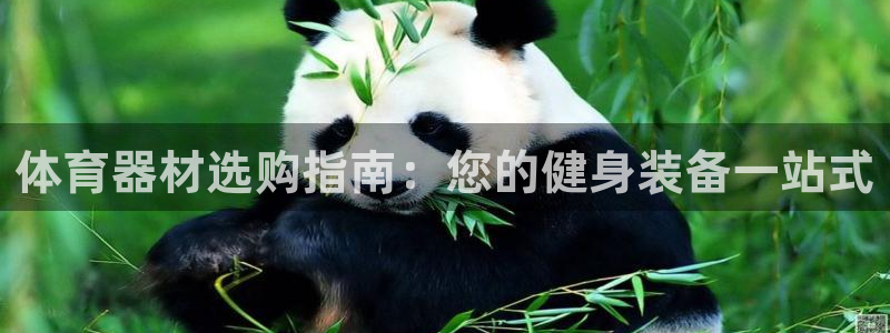 极悦娱乐贴吧最新消息：体育器材选购指南：您的健身装备