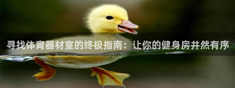 极悦平台官网入口：寻找体育器材室的终极指南：让你的健