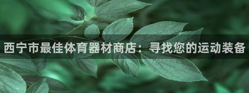 极悦娱乐app官方版本更新内容在哪：西宁市最佳体育器