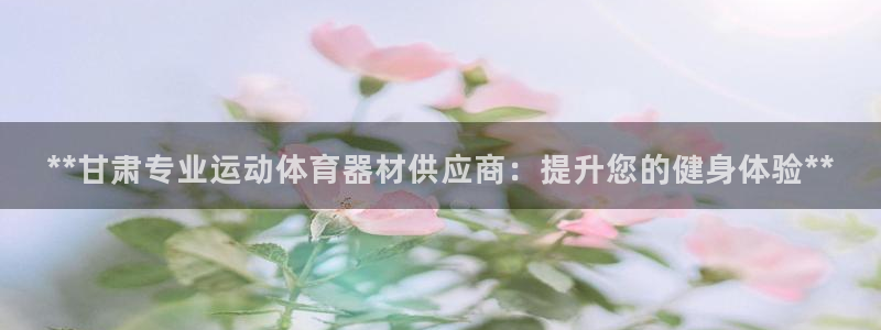 极悦娱乐官方网站：**甘肃专业运动体育器材供应商：提