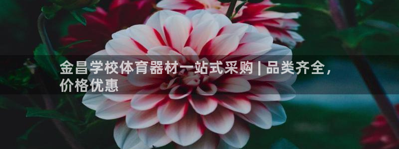 极悦官网的登录方法：金昌学校体育器材一站式采购 | 