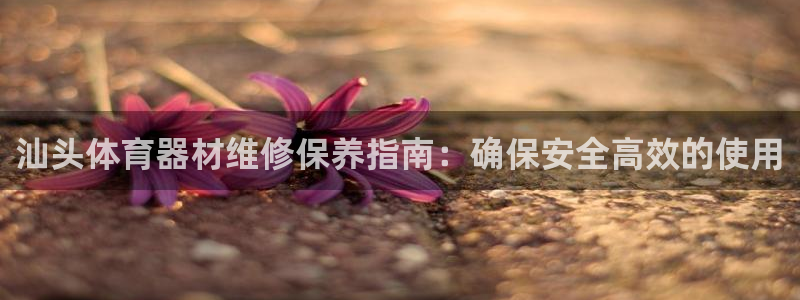极悦平台是干什么的软件：汕头体育器材维修保养指南：确