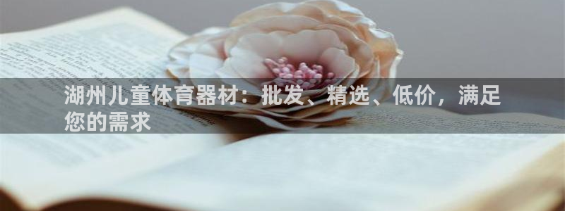 极悦官网入口登录网址：湖州儿童体育器材：批发、精选、