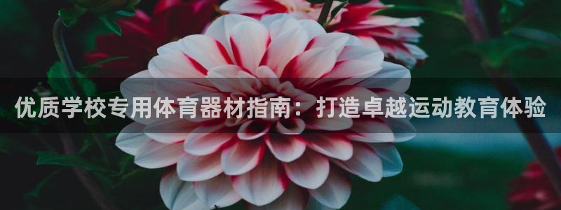 极悦平台是正规平台吗是真的吗：优质学校专用体育器材指