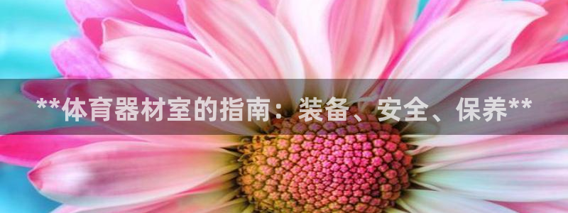 极悦平台官网登录入口网址查询：**体育器材室的指南：