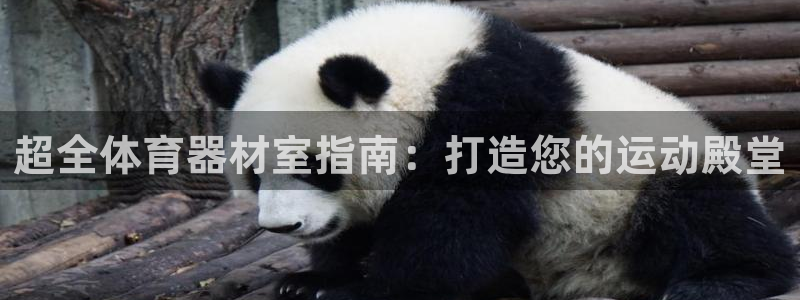 极悦平台官网登录：超全体育器材室指南：打造您的运动殿