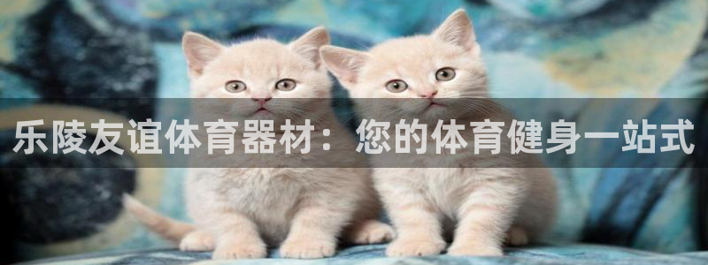极悦平台德711.112的更新内容：乐陵友谊体育器材