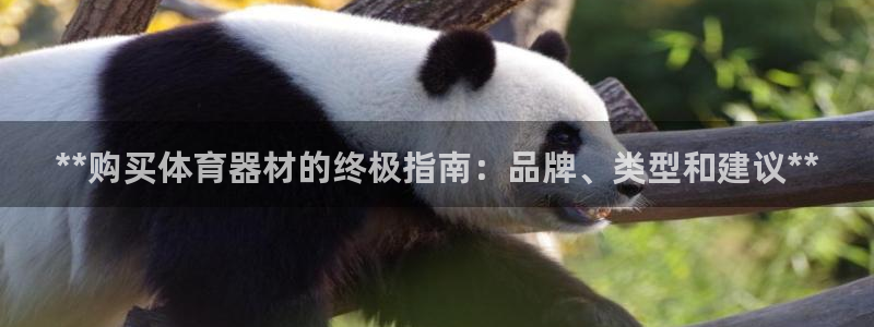 极悦平台是什么：**购买体育器材的终极指南：品牌、类