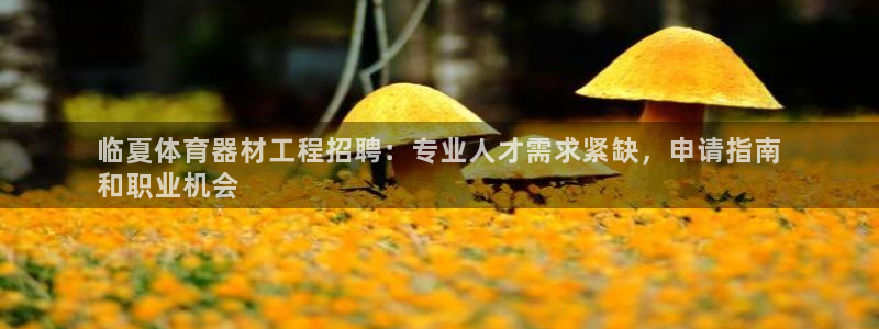 极悦平台是干嘛的：临夏体育器材工程招聘：专业人才需求