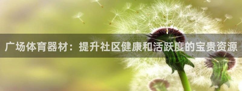 极悦平台登录方式：广场体育器材：提升社区健康和活跃度