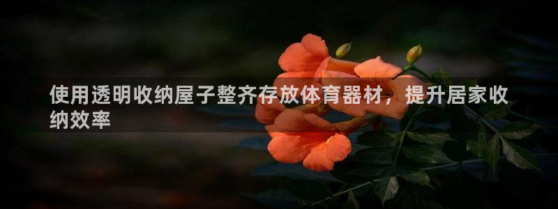 极悦娱乐官网客服联系方式电话：使用透明收纳屋子整齐存