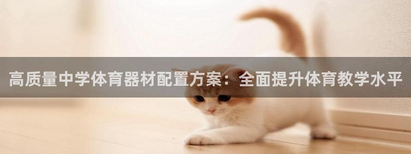 极悦平台app安全吗是真的吗：高质量中学体育器材配置