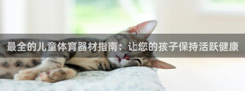 极悦娱乐德711.112扣费说明：最全的儿童体育器材