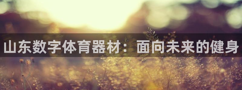 极悦平台注册流程：山东数字体育器材：面向未来的健身