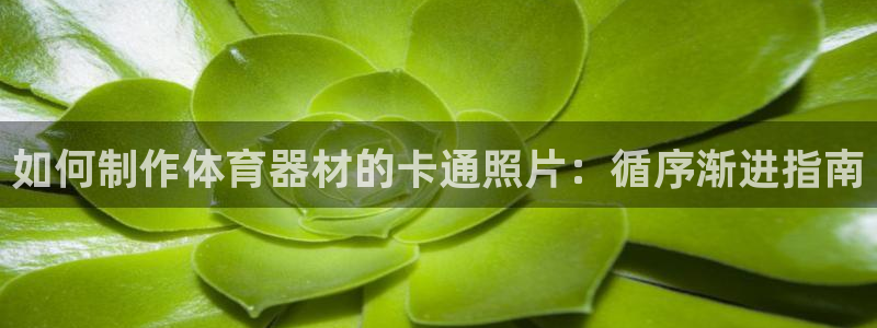 极悦娱乐app官方版本更新内容是什么：如何制作体育器