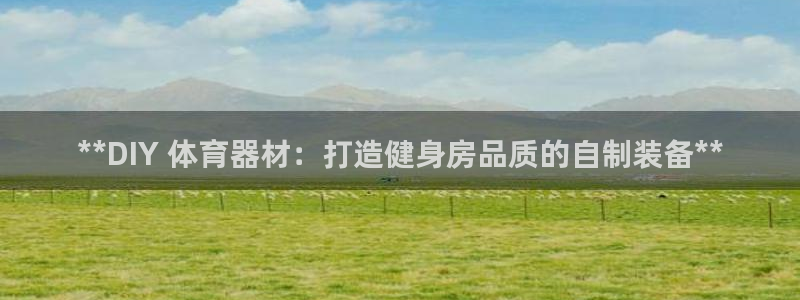 极悦平台注册官方网站下载手机版：**DIY 体育器材