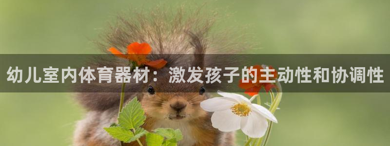 极悦平台使用教程视频：幼儿室内体育器材：激发孩子的主
