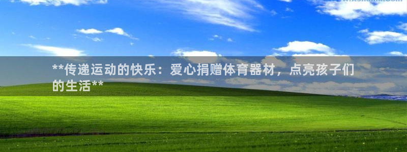 极悦娱乐负责人怎么样：**传递运动的快乐：爱心捐赠体