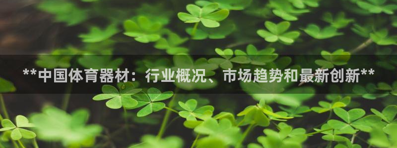 极悦平台官网入口下载：**中国体育器材：行业概况、市场趋势和