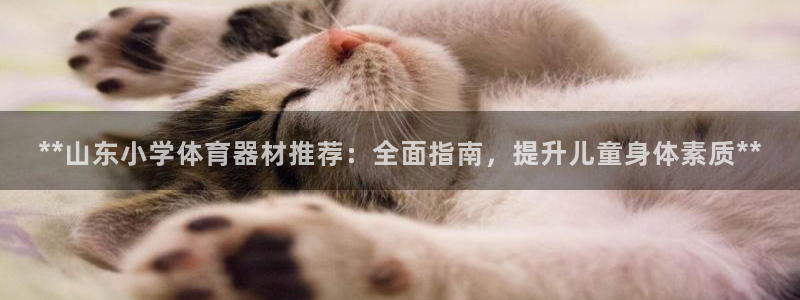 极悦平台官方网址是多少：**山东小学体育器材推荐：全