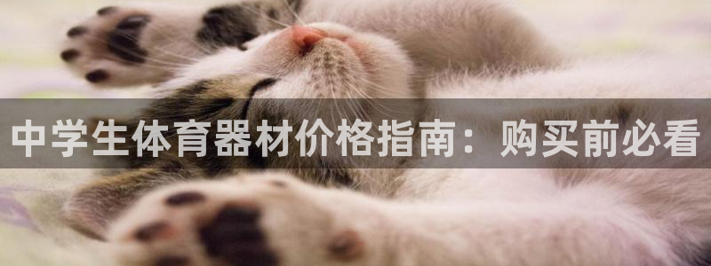 极悦官网登录入口网址：中学生体育器材价格指南：购买前