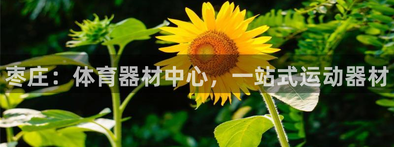 极悦平台官方网址查询：枣庄：体育器材中心，一站式运动