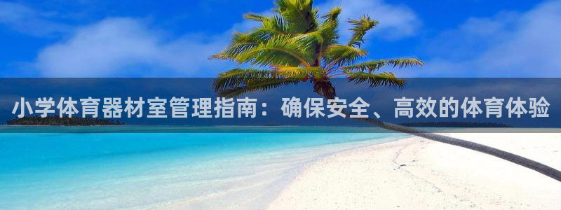 极悦官网首页登录入口：小学体育器材室管理指南：确保安
