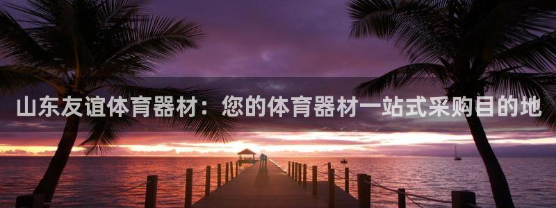 极悦娱乐会被骗吗是真的吗：山东友谊体育器材：您的体育