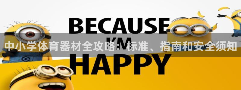 极悦平台官网入口网站：中小学体育器材全攻略：标准、指