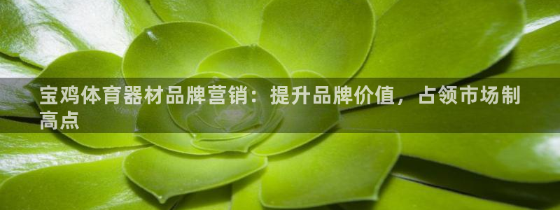 极悦平台注册申请流程详解：宝鸡体育器材品牌营销：提升