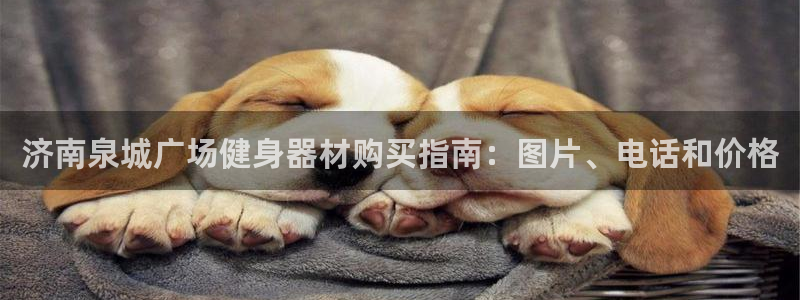 极悦平台注册用户名生成器：济南泉城广场健身器材购买指南：图片