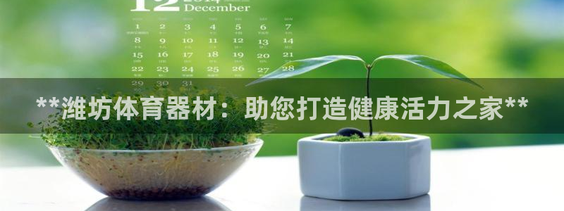 极悦平台和蓝狮平台区别：**潍坊体育器材：助您打造健